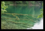 Plitvice -11-07-2013 - Bogdan Balaban